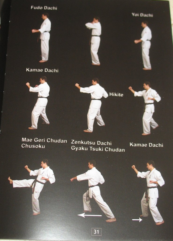Książka „Kihon – Kyokushin Karate basics” | www.karatecy.pl